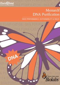 NEB Monarch DNA